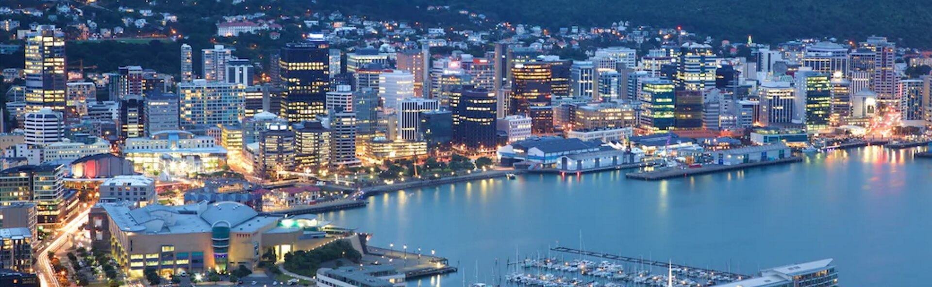 Wellington city and harbour at dusk